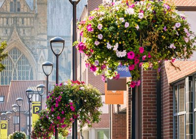 Yorkshire-in-Bloom-4