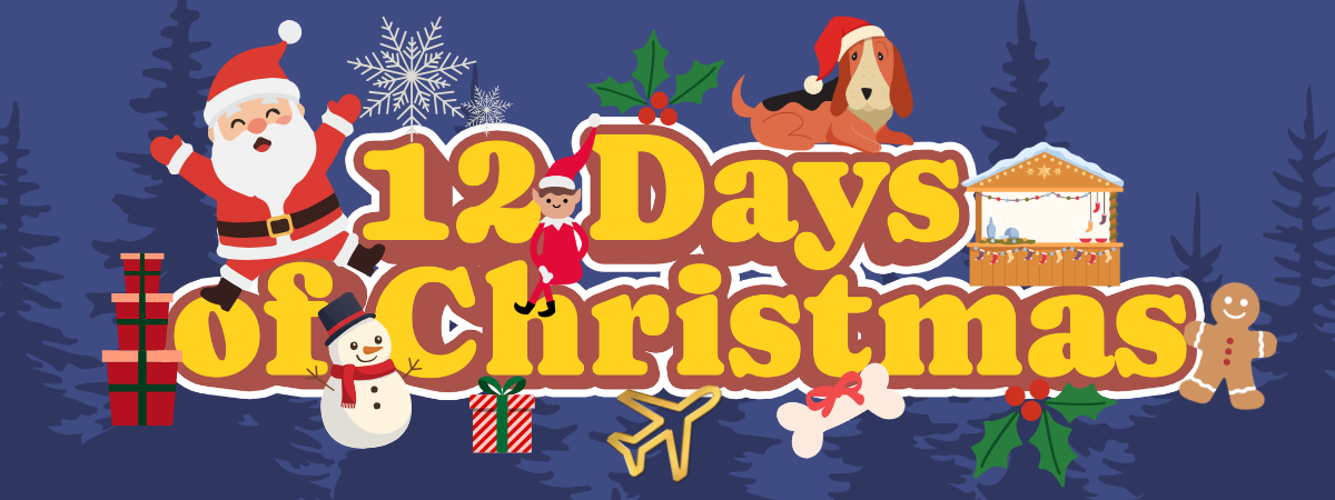 12 days of christmas